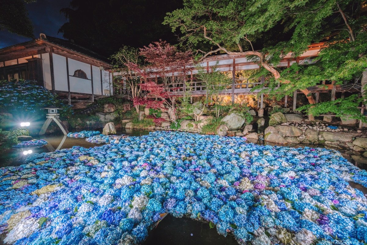 ⛩️ 아마비키 관음(아마비키산 라쿠호지) 이미지 1